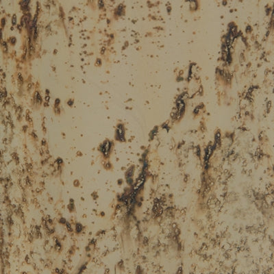 مزهرية بلاويت