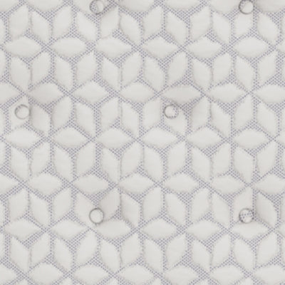 Limited Edition PT Queen Mattress