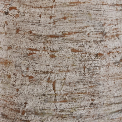 مزهرية ويلبريدج