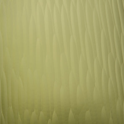 مزهرية سكوتيارد