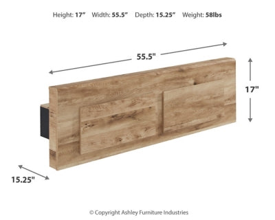 لوح قدم هايانا للتخزين الكامل