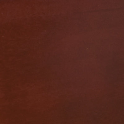 قضبان زلاجة أليسدير المزدوجة