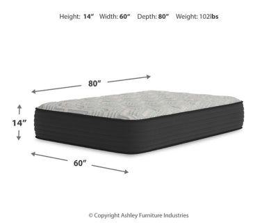 Palisades Plush Queen Mattress