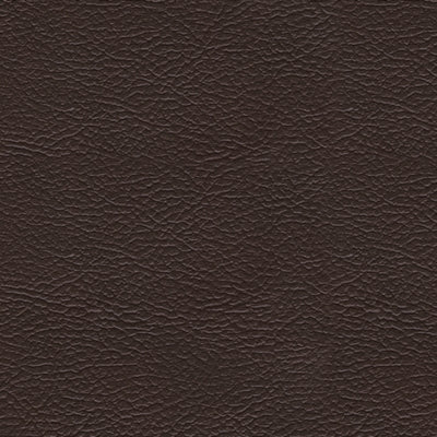 Pisgham Power Recliner