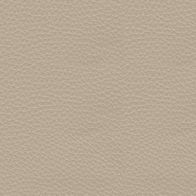 كرسي بيسغام الكهربائي المتحرك